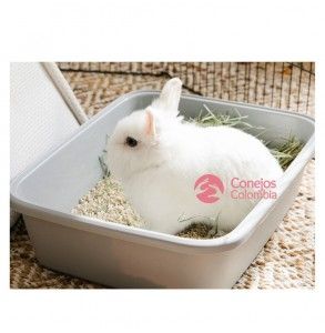 Sustrato ecológico y seguro para conejos, cobyas y hásmter. Conejos Colombia.