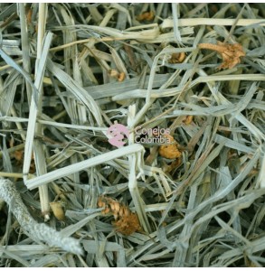 Mezcla de heno timothy y hierbas aromáticas para conejos, cobayas cuys y chinchillas | Conejos Colombia